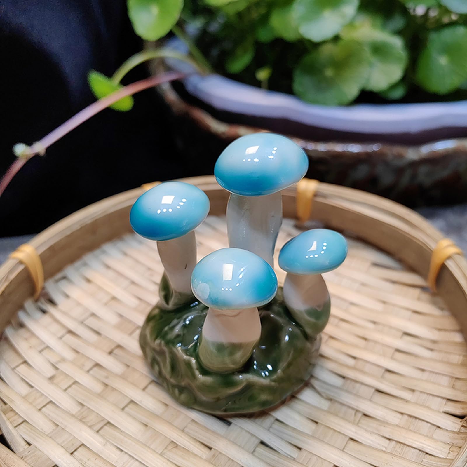 Amazon.co.jp: ガーデニング置物 きのこ 菌 置き物 園芸装飾